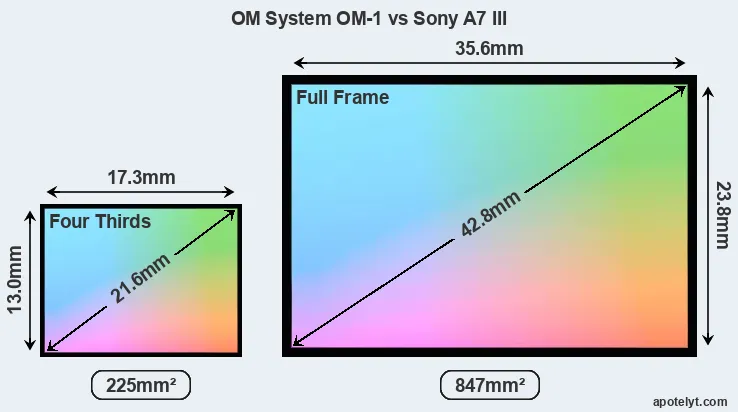 OM System OM-1 and Sony A7 III sensor measures