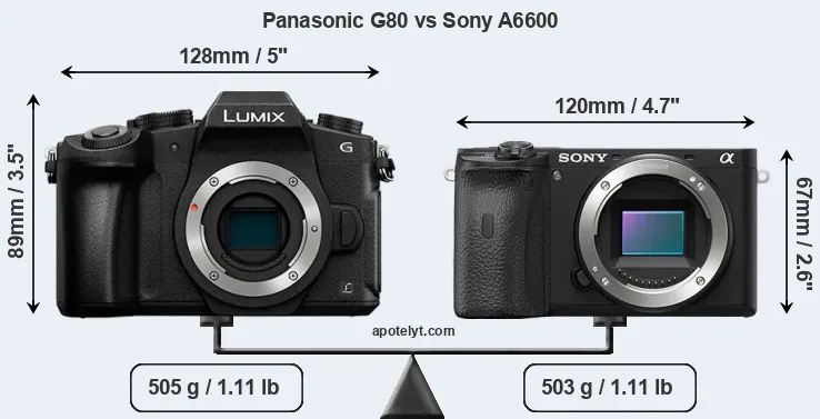 Size Panasonic G80 vs Sony A6600