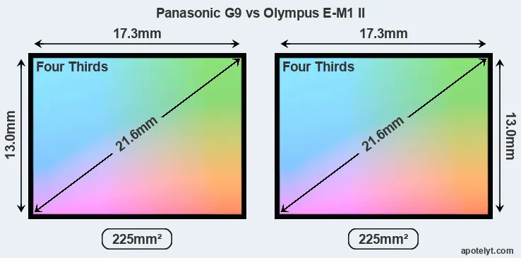 Panasonic G9 and Olympus E-M1 II sensor measures