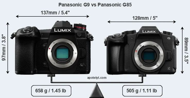 Size Panasonic G9 vs Panasonic G85
