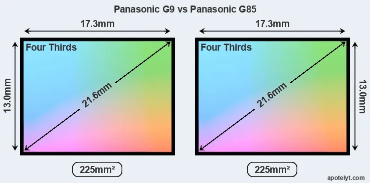 Panasonic G9 and Panasonic G85 sensor measures