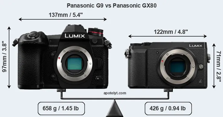 Size Panasonic G9 vs Panasonic GX80
