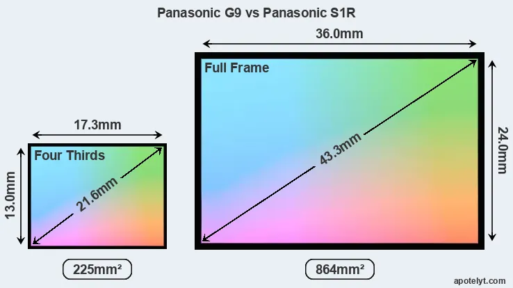Panasonic G9 and Panasonic S1R sensor measures