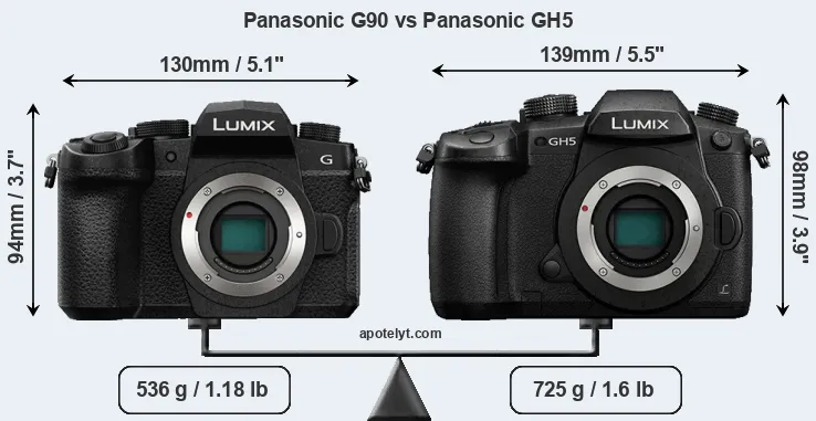 Size Panasonic G90 vs Panasonic GH5