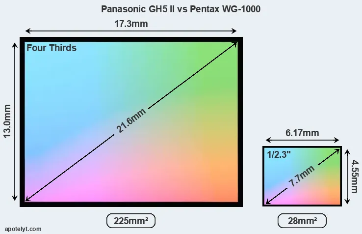 Panasonic GH5 II and Pentax WG-1000 sensor measures