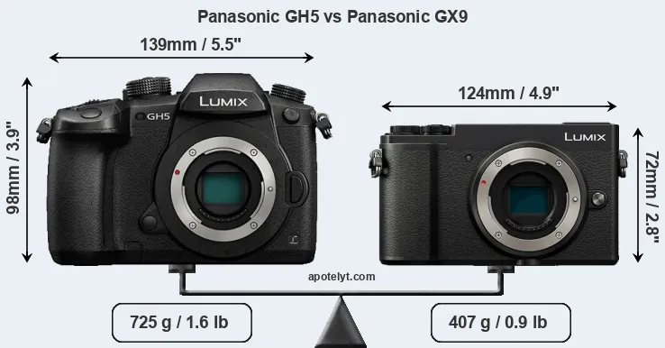 Size Panasonic GH5 vs Panasonic GX9