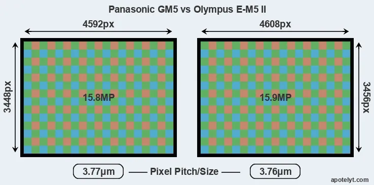 GM5 versus E-M5 II MP