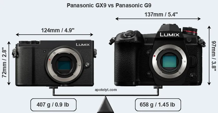 Size Panasonic GX9 vs Panasonic G9