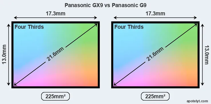 Panasonic GX9 and Panasonic G9 sensor measures