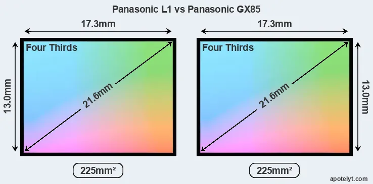 Panasonic L1 and Panasonic GX85 sensor measures