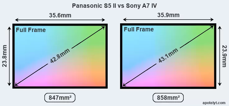 Panasonic Lumix S5 II vs Sony a7 IV, Which is Better? - The