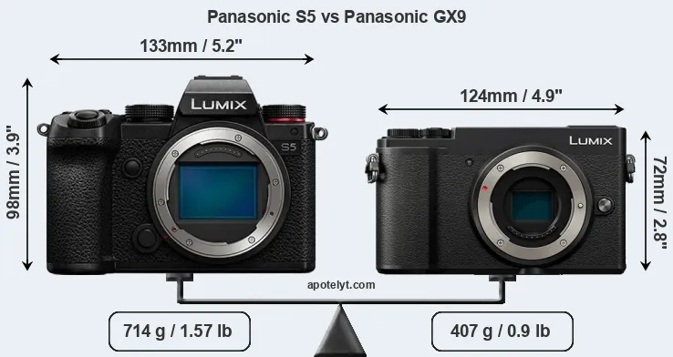 Size Panasonic S5 vs Panasonic GX9