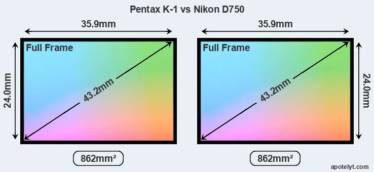Pentax K-1 and Nikon D750 sensor measures
