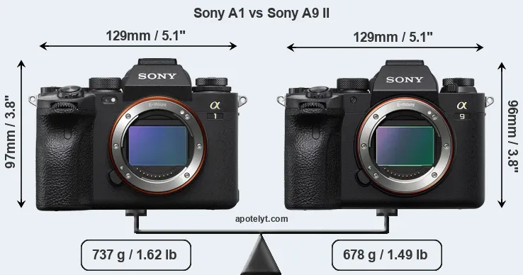 Size Sony A1 vs Sony A9 II