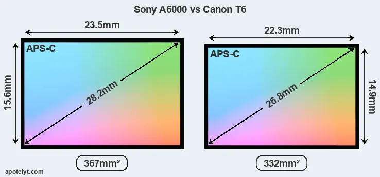 Sony A6000 and Canon T6 sensor measures