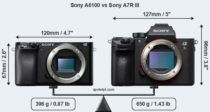 Size Sony A6100 vs Sony A7R III