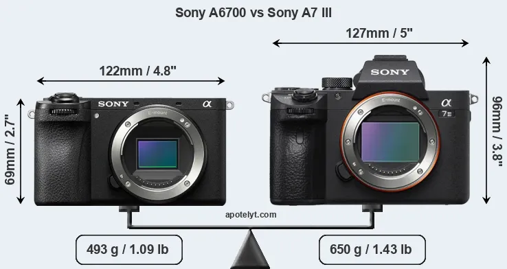 Size Sony A6700 vs Sony A7 III
