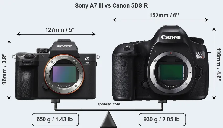 Size Sony A7 III vs Canon 5DS R