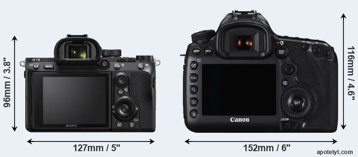 Comparison A7 III or 5DS R rear
