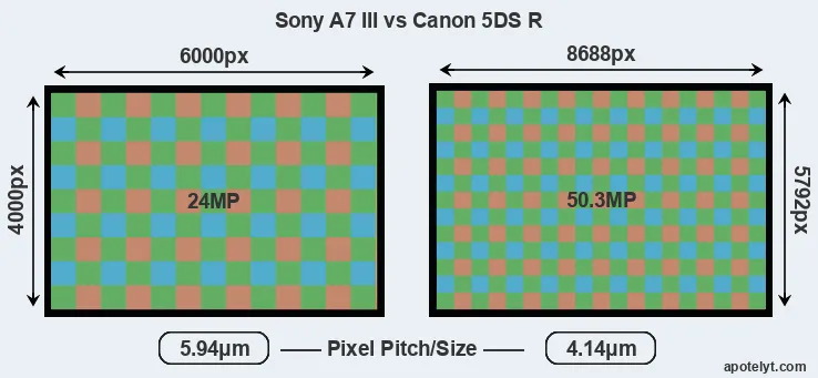A7 III versus 5DS R MP