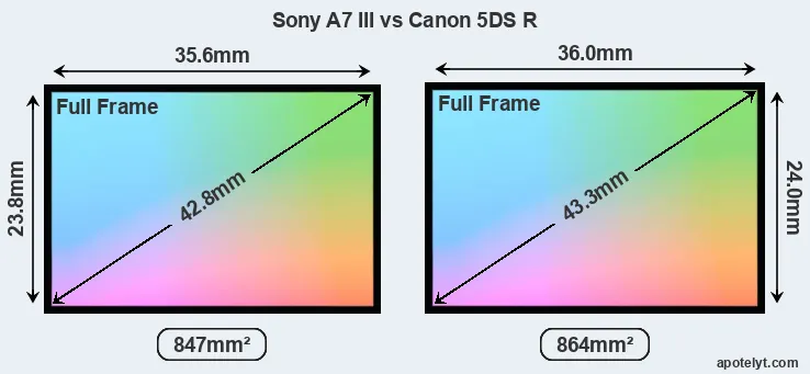 Sony A7 III and Canon 5DS R sensor measures