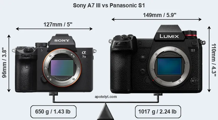 Size Sony A7 III vs Panasonic S1