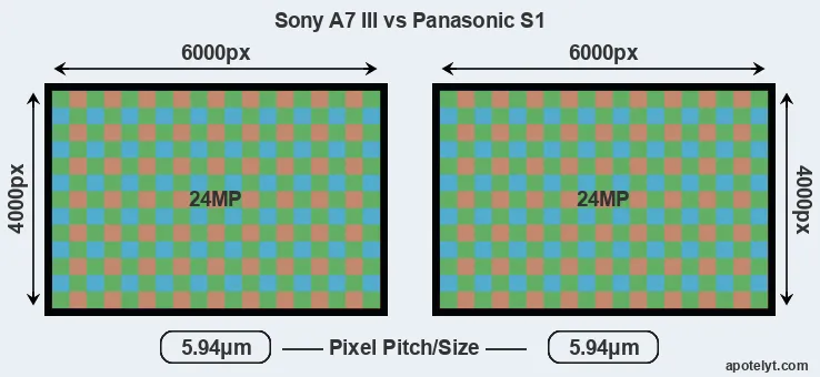 A7 III versus S1 MP
