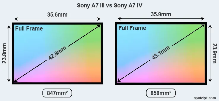 Sony A7 III and Sony A7 IV sensor measures