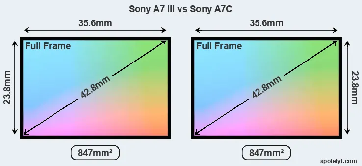 Sony A7 III and Sony A7C sensor measures