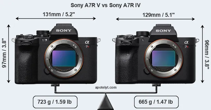 Size Sony A7R V vs Sony A7R IV