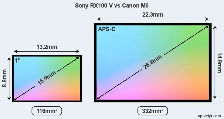 Sony RX100 V and Canon M6 sensor measures