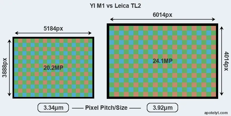 M1 versus TL2 MP