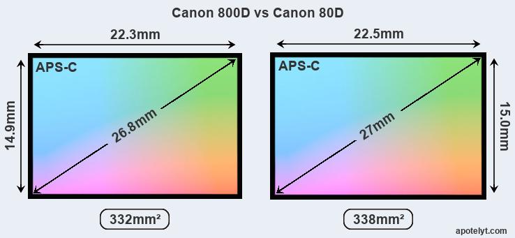 Canon 800D and Canon 80D sensor measures