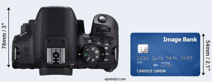 Navitech Telescopic Camera DSLR SLR Case Compatible With The Nikon COOLPIX B600