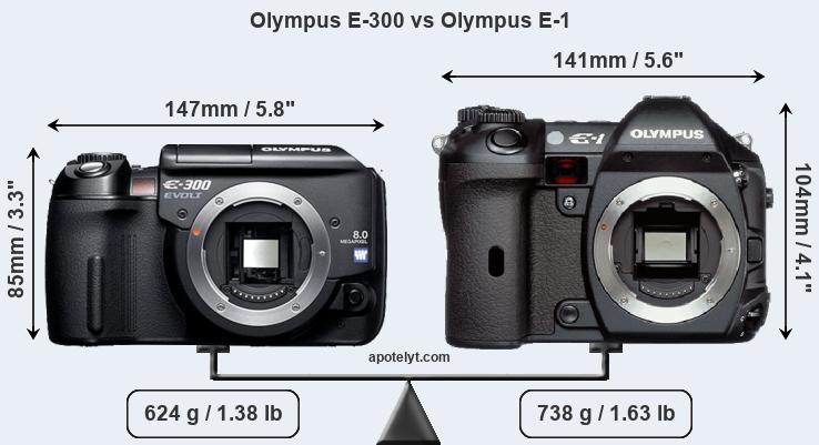 Olympus E-300 vs Olympus E-1 Comparison Review